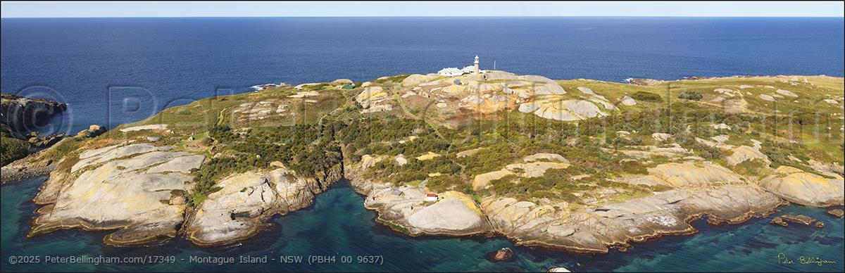 Peter Bellingham Photography Montague Island - NSW (PBH4 00 9637)